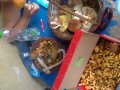 WP_20160706_001.jpg